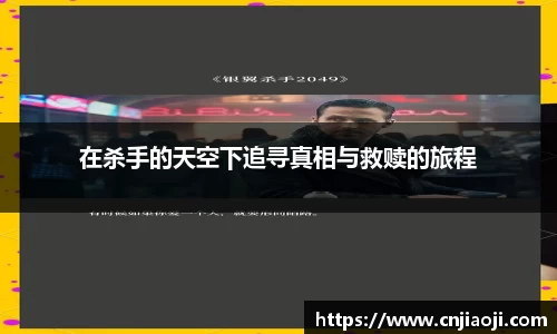 在杀手的天空下追寻真相与救赎的旅程